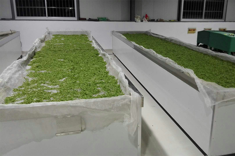 <div style="text-align:center;">
	茶园风光
</div>