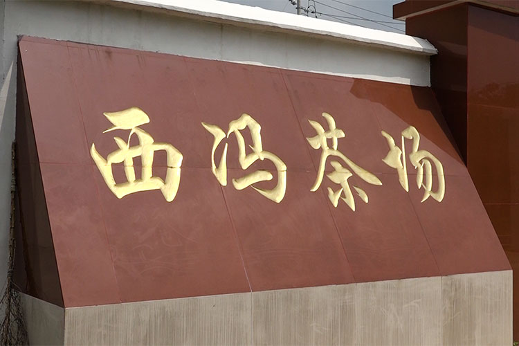 <div style="text-align:center;">
	茶园风光
</div>